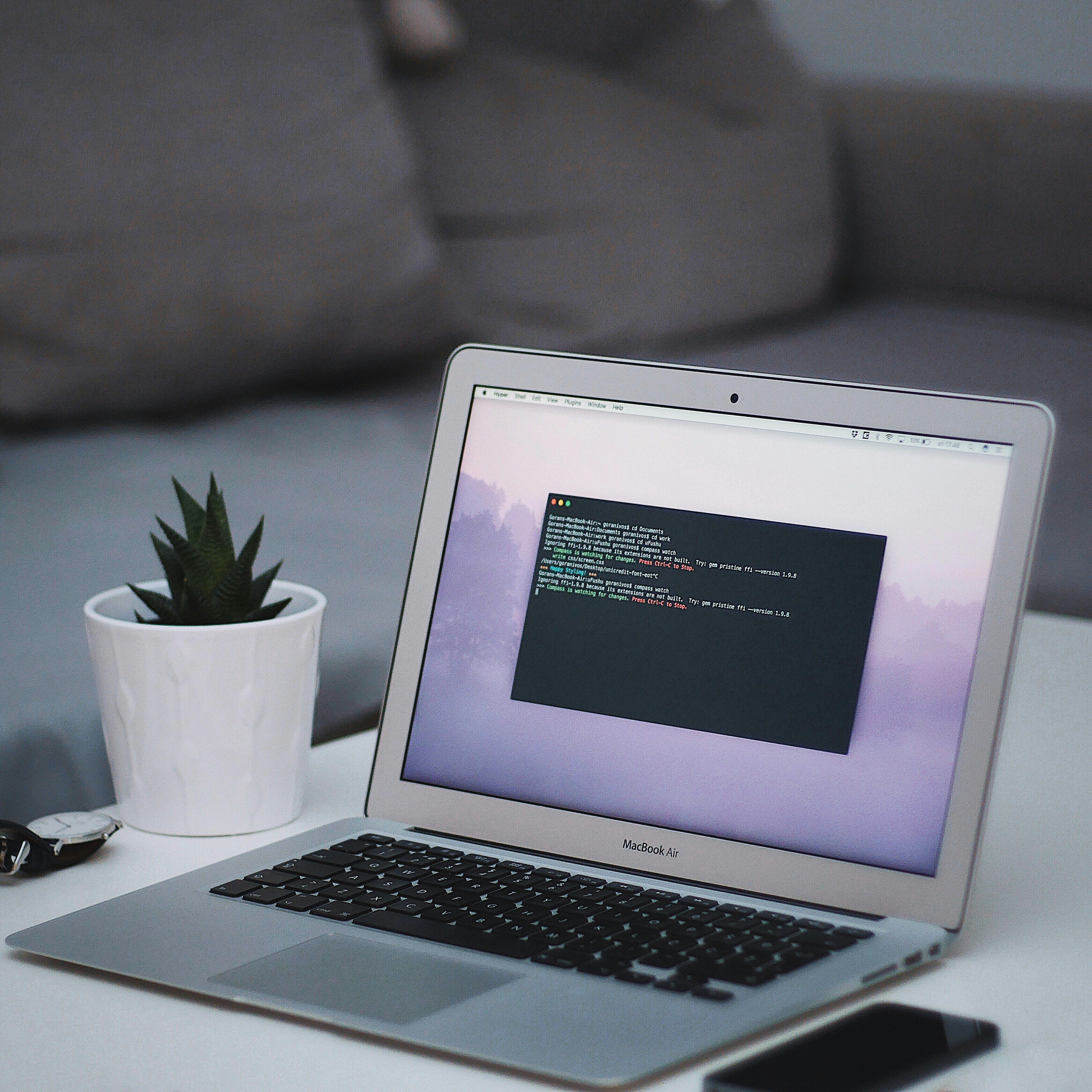 Development Image